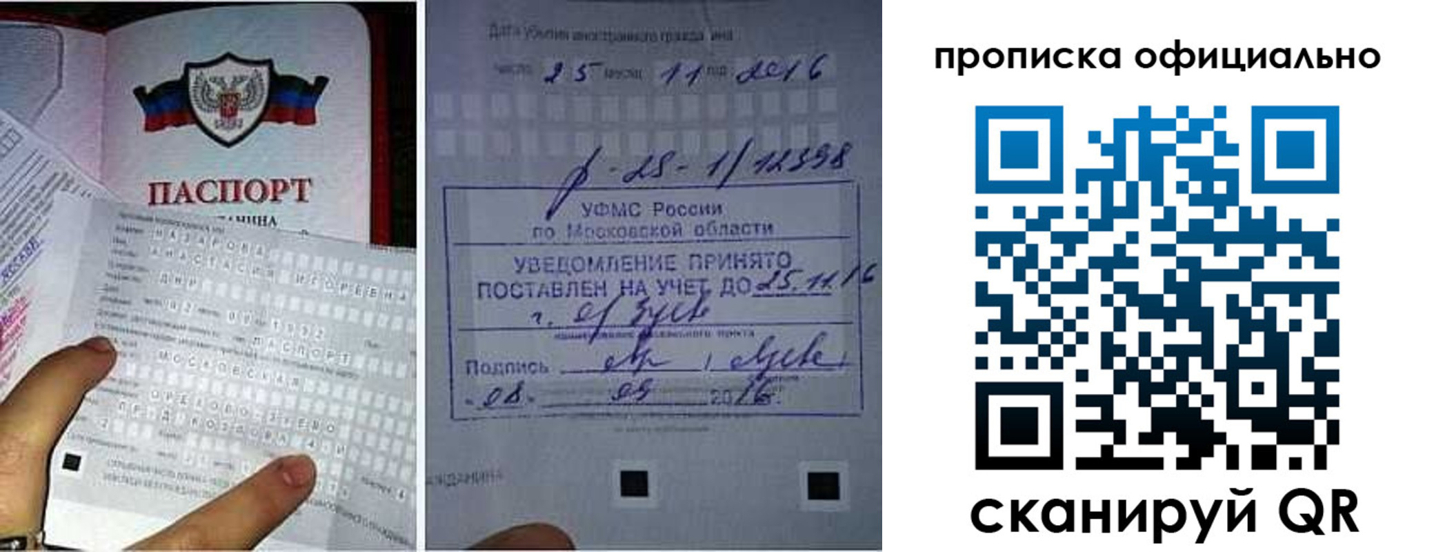 прописка паспорт в Берёзовском